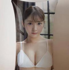 藤園麗/PVC抱き枕/空気ビニール/エアクッション90cm×45cm 4