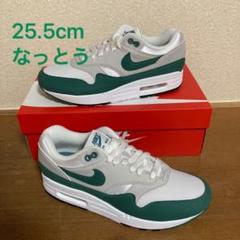 Air Max 1 Anniversary “Ever Green”