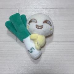 2025年最新】nct dream チョンロ ぬいぐるみの人気アイテム
