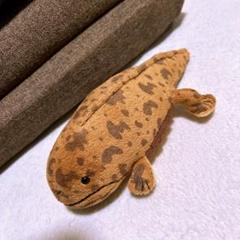 2025年最新】オオサンショウ ぬいぐるみの人気アイテム - メルカリ