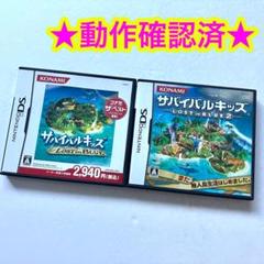 DS サバイバルキッズ ロストインブルー 1 2