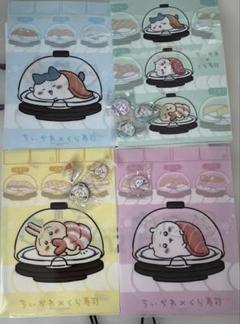 くら寿司✖️ちいかわ　コンプリートファイルセット うさぎ他 くら寿司✖️ちいかわ コンプリートファイルセット うさぎ他