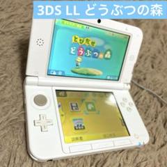 Nintendo 3DS LL ホワイト どうぶつの森