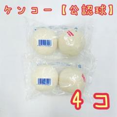 2025年最新】ナガセケンコー ボールの人気アイテム - メルカリ