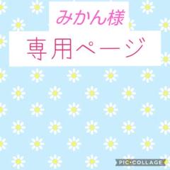 みかん様　オーダーページ オーダー】みかん様専用ページ - メルカリ
