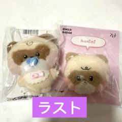 ♡zeroni hanini 新品未開封♡ 2025年最新】ZERONI ぬいぐるみ ハニニの人気アイテム - メルカリ