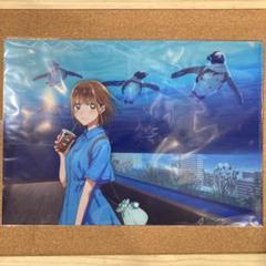 アオのハコ サンシャイン水族館 クリアファイル アクリル3点セット グッズ-クリアファイル】アオのハコ クリアファイル 水族館ver