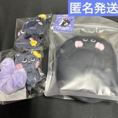 RIIZE ソウルコン ペンライトカバー シュシュ ウォンビン 新品・未開封】RIIZE ペンライトカバー ウォンビン - メルカリ