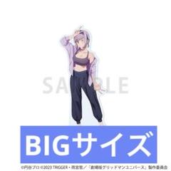 SSSS.GRIDMAN ヴィレッジヴァンガード　新条アカネ　アクリルフィギュア ヴィレッジヴァンガード SSSS.GRIDMAN アクリルフィギュア 新条