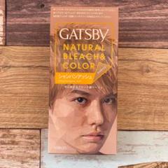 ギャツビー ナチュラルブリーチカラー シャンパンアッシュ 医薬部外品 マンダム 通常送料無料の中古 未使用品を探そう メルカリ