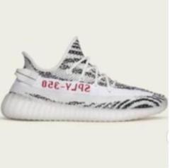 Yeezy V2 ZEBRA 25cm