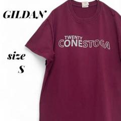 GILDAN ギルダン US古着 コットン半袖Tシャツ Sサイズ プリント