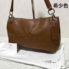【希少】コーチ　チャーリー ショルダーバッグ　アクセサリーポーチ　ワンショルダー