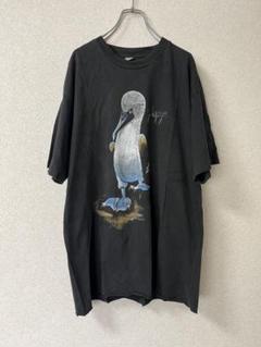アニマルT ガラパゴス 鳥