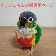 小鳥ぽんぽん ワキコガネウロコインコ愛鳥さん風アレンジ