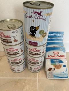  CANIN 消化器サポート パピー缶　合計19缶セット 58989.jpg