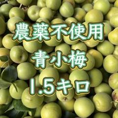 1 メル　限定価格 岡山県産 農薬除草剤不使用 小梅 10k 採れたて発送 数量限定】山形県産幻の谷沢梅 青梅 追熟梅 サイズミックス1キロ
