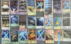 バラ売り 一枚300円 ２枚目以降100円 鳥羽水族館 コレクションカード 鳥羽水族館 コレクションカード② バラ売り可 - メルカリ