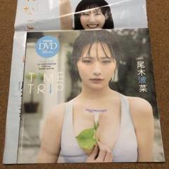 尾木波菜 DVD