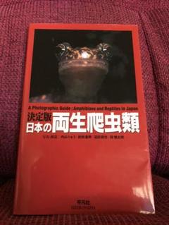 昆虫図鑑