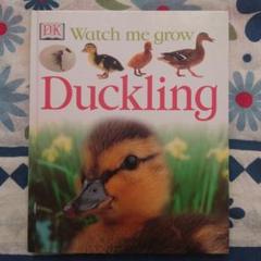DK Duckling (Watch Me Grow)English