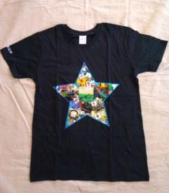 サザンオールスターズ 2013 STAFF限定 Tシャツ サザンオールスターズ スタッフTシャツ 灼熱のマンピー 2013