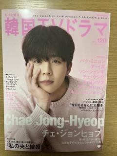 もっと知りたい!韓国TVドラマvol.120 チェジョンヒョプ　채종협のサムネイル