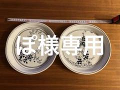 無汸庵 綿貫宏介 絵皿 20センチ ぶどう 葉っぱ フルーツ