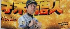 ［新品未開封］阪神タイガースファイティングポーズタペストリータオル　35才木浩人