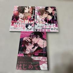 BLコミック　25冊まとめ売り BL漫画 まとめ売り - メルカリ