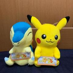 ポケットモンスター つれてってぬいぐるみ ピカチュウ ヒノアラシ