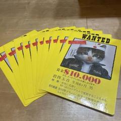 なめネコ　下敷き　10枚セット なめ猫 新品！ レトロ なめんなよ猫 したじき 下敷き の通販 by