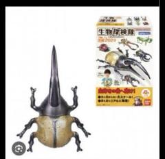 生物探検隊　コーカサス