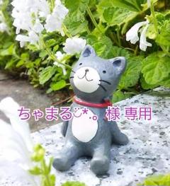 ちゃまる◡̈*.。プロフ読んで下さい!様 専用