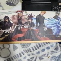 劇場版 BLEACH MEMORIES OF NOBODY ディスクケース付き