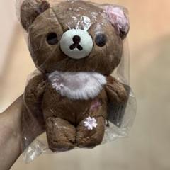 チャイロイコグマ さくらシリーズ さくら抹茶カラーのチャイロイコグマぬいぐるみが可愛すぎる