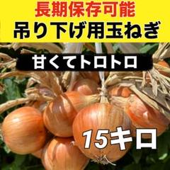 農家直送！‼️吊るして長期保存可能‼️玉ねぎ15キロ ‼️吊るす事で甘味がどんどん増すのサムネイル