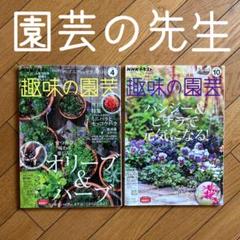 ◾️園芸テキスト◾️ハーブを生かしたお庭づくり◾️ガーデニング◾️ビオラ◾️パンジー◾️2冊