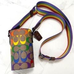 【希少】COACH　コーチ　レキシー　ボディバッグ　キャリッジ　レインボー 希少 大人気完売品コーチ ボディバッグ レキシーキャリッジ