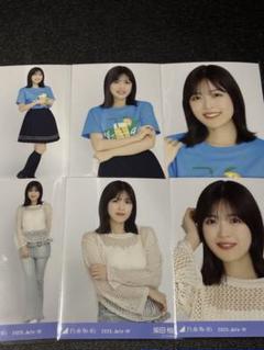 乃木坂46 賀喜遥香 静岡Tシャツ メッシュニット 6種コンプ 生写真 柴田柚菜 乃木坂46 Tシャツ 静岡 メッシュニット 生写真 6種