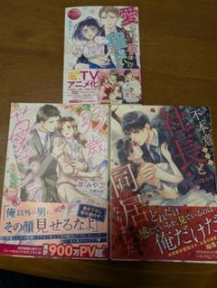 【専用】蜜夢文庫、マーマレード文庫、エタニティブックス、ルネッタブックス新刊 TL小説3冊セット エタニティ文庫 ルネッタブックス