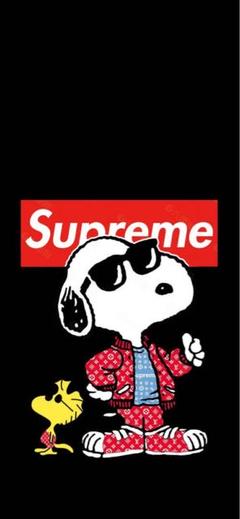 supreme アートポスター パロディー フレーム付き サングラススヌーピー