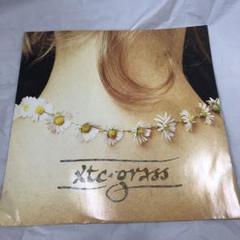 XTC - Grass レコード