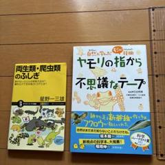 両生類・爬虫類のふしぎ / ヤモリの指から不思議なテープ