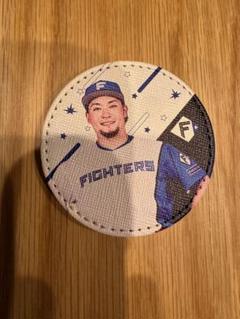 北海道日本ハムファイターズ　日ハム　野村祐希　清宮幸太郎　推しペアクッション 北海道日本ハムファイターズ 日ハム 野村祐希 清宮幸太郎 推し