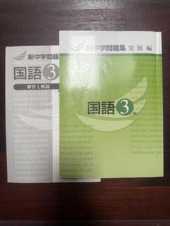 新中学問題集　国語3年 発展編