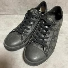 m12079068024_1.jpg?1744351998