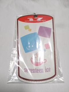SEVENTEEN ペンライト、クリアファイル、パスケースセット seventeen ペンライトアクリルケース ハンドメイド ☆ラスト1台
