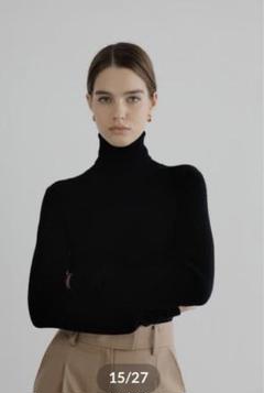 nae. 【EVER SERIES】タートルネックSlim Knit