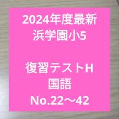 本日のみ値下げ❗祝❕合格値下げ❕浜学園　【最新版】無記入☆　小５　国語セット 浜学園 小6 国語 日曜志望校別特訓 9月・10月 L神女・四天